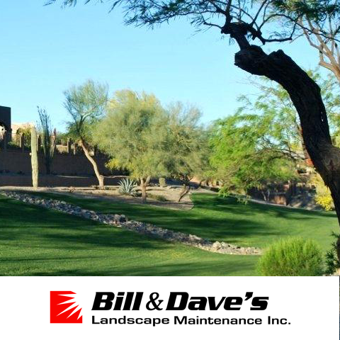 BILL & DAVE'S LANDSCAPE MAINTENANCE INC logo