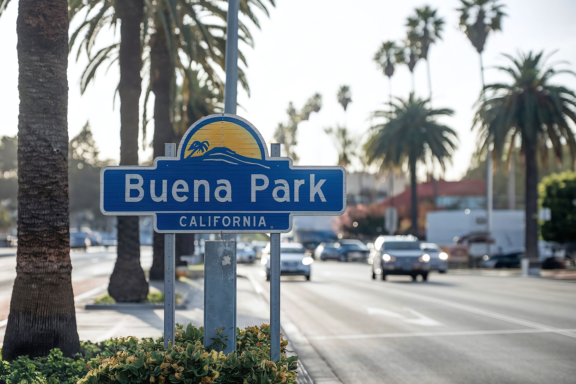 Buena Park Commercial Landscaper